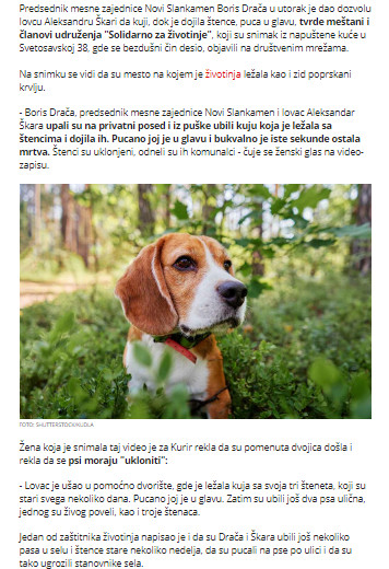 Serbia-avmp/Kuji-dok-je-dojila-stence-pucano-u-glavi