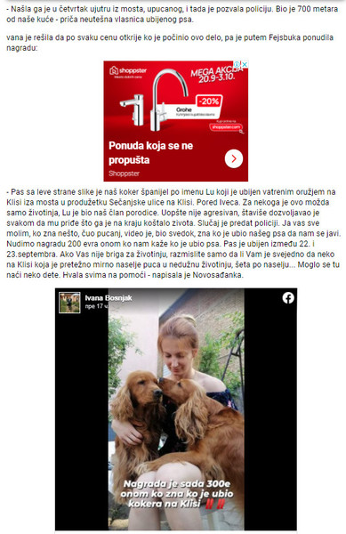 Serbia-avmp/NOVOSADANKA-TRAZI-UBICU-PSA_-Neko-ga-je-upucao-nudi-300-evra-za-informaciju-i-