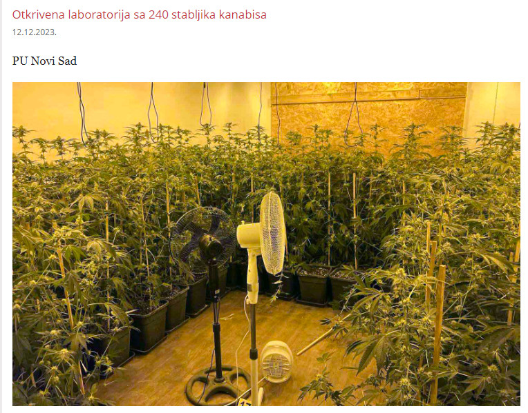 Serbia-avmp/Otkrivena-laboratorija-za-kanabis