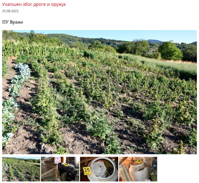 Serbia-avmp/Uhapsen-zbog-droge-i-oruzja_10