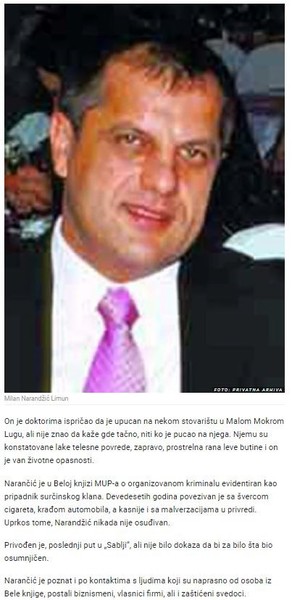 Serbia-avmp/Upucan-Milan-Narandzic-Limun_2