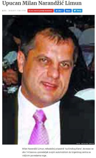 Serbia-avmp/Upucan-Milan-Narandzic-Limun
