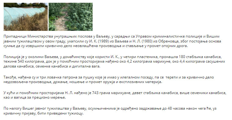 Serbia-avmp/Zaplenjena-marihuana-i-municija_1