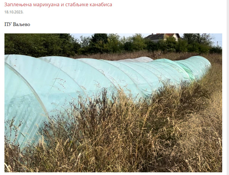 Serbia-avmp/Zaplenjena-marihuana-i-municija